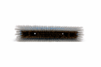 water fed pole brushes